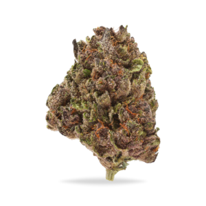 Cereal Milk THCa Flower