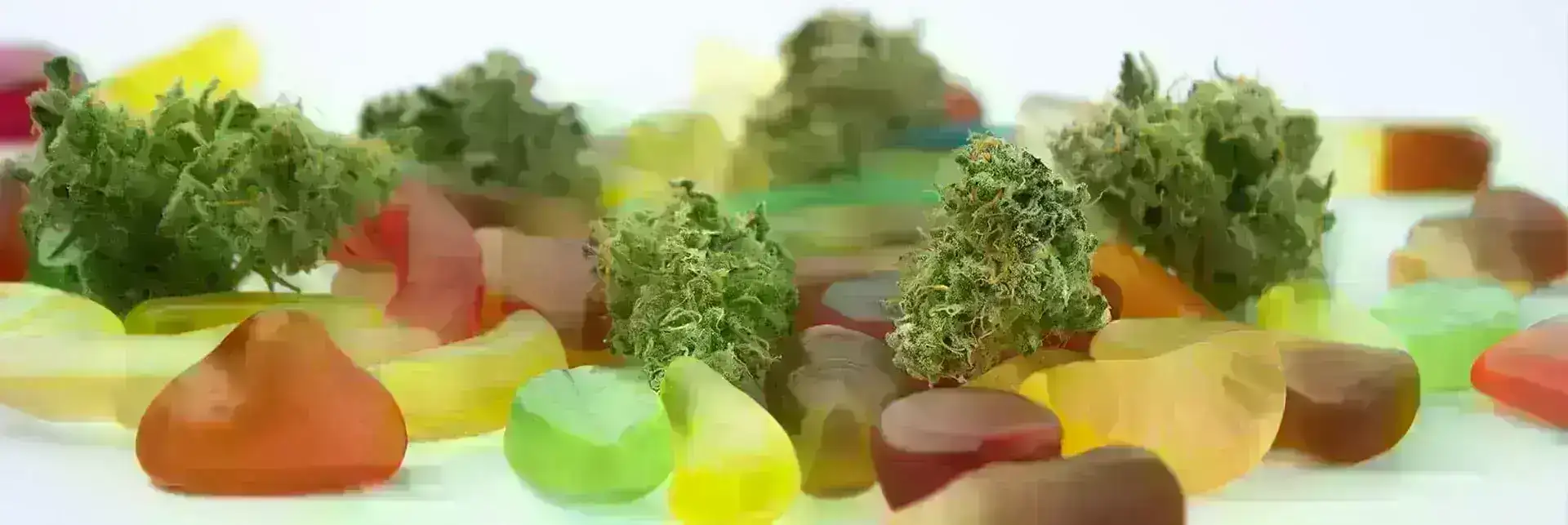 CBD Edibles