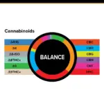 3Chi_TS_Gummies_Graphs_Balance