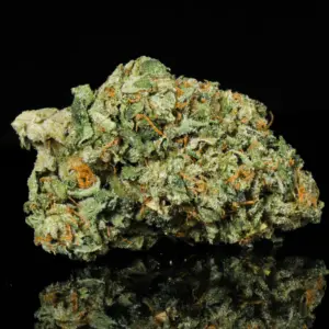 Chocolope THCa Flower
