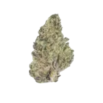 Purple_Dream_Flower_