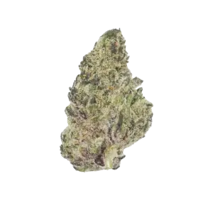 Purple_Dream_Flower_