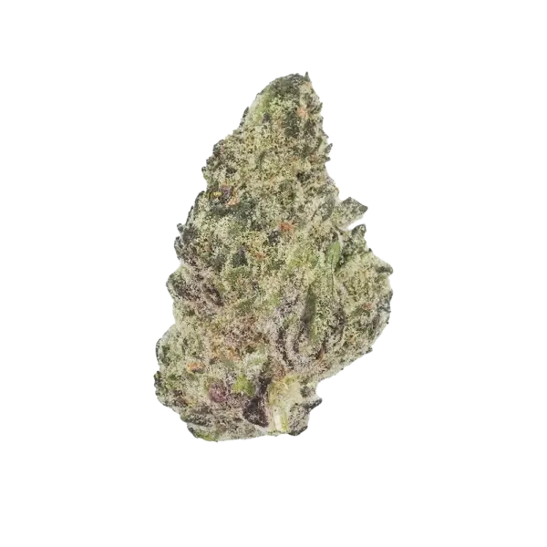 Purple_Dream_Flower_